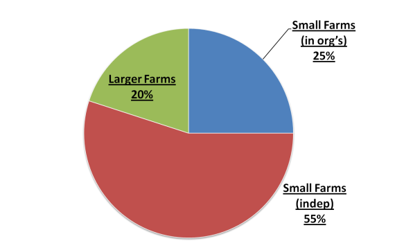 Coffee farmers share by size/type. Source: NKG 2010/2013.  Graph created by M Zamora